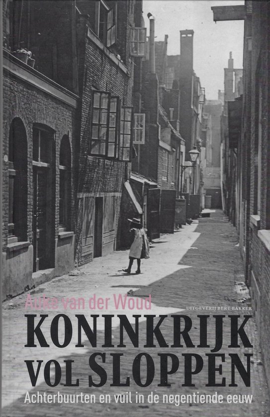 Omslag van Koninkrijk vol sloppen