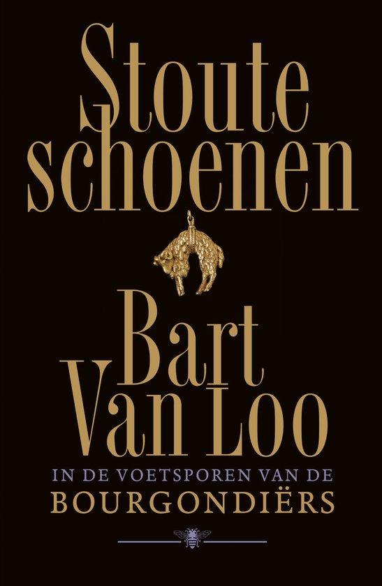 Stoute schoenen — E-book